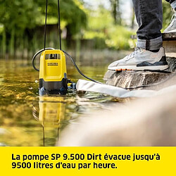 Kärcher pompe à eau Sp 9.500