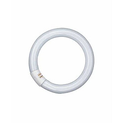 Osram tube fluorescent T9 circulaire G10q