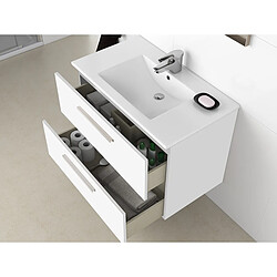 Avis Pegane Blanc