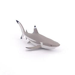 Papo Requin à pointes noires