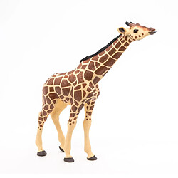 Papo 50236 Girafe Tête Levée Savane