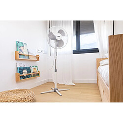 Acheter EDM Ventilateur sur pied 45 W Gris