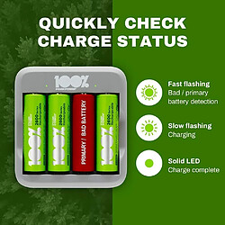 Acheter 100% PeakPower Chargeur AA et AAA