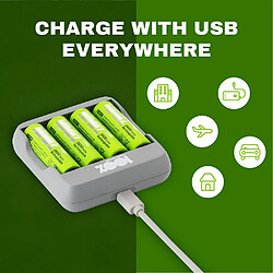 100% PeakPower Chargeur AA et AAA pas cher