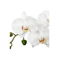 Plante & fleur artificielle