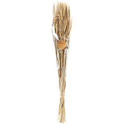 Plante & fleur artificielle Sil