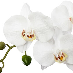Orchidée Artificielle 53 cm - Grise