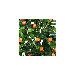 Avis The Home Deco Factory Oranger Artificiel 120 cm