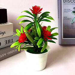 Wewoo Plantes en pot Bonsaï - Rouge