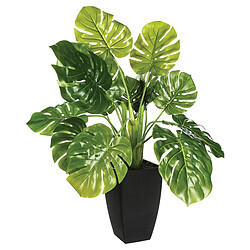 Atmosphera Plante verte en pot