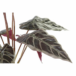 DKD Home Decor Plante décorative PE - 20 x 20 x 49 cm