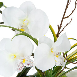 Atmosphera, Createur D'Interieur Atmosphera Composition florale Orchidée