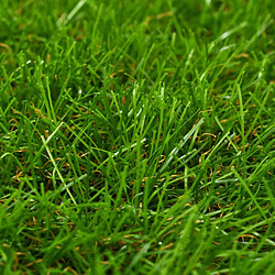 Avis vidaXL Gazon artificiel 30 mm - 1x5 m