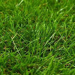 Avis vidaXL Gazon artificiel 40 mm - 1x15 m
