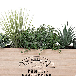 Atmosphera, Createur D'Interieur Atmosphera Suspension Plante - D44 cm