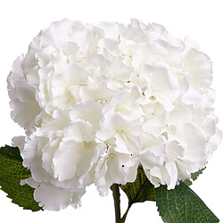Atmosphera Tige artificielle d'Hortensia - H. 83 cm - Blanc