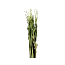 Fagot d'herbes H.79 cm - but