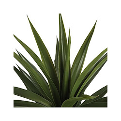 Atmosphera Plante Grasse H. 130 cm