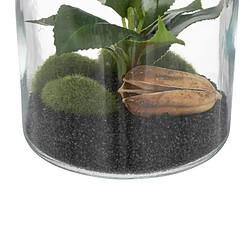 Avis But Botanique Terrarium - H.19,5 cm - Vert