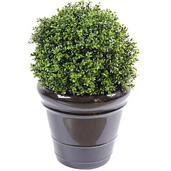 Pegane Buis Boule Artificiel