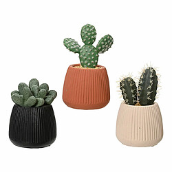 EDM Cactus décoratif EDM 14cm