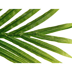 Avis Atmosphera Palmier 170 cm