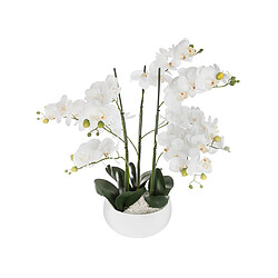 ATMOSPHERA Orchidée en pot H. 65 cm blanc