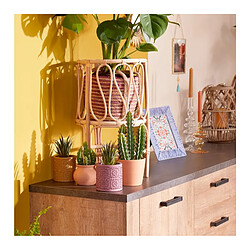 But Cactus pot terra 30 cm Unia