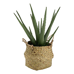 Atmosphera Aloe avec pot naturel - H. 37 cm - Beige