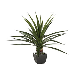 Atmosphera Plante Grasse H. 130 cm