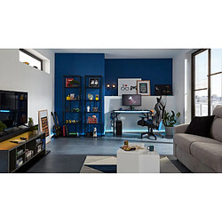 Avis Bonsai artificiel Atmosphera