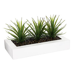 Centro de Mesa 3 Aloe Vera - 17 cm Atmosphera