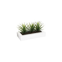 Centro de Mesa 3 Aloe Vera - 17 cm Atmosphera