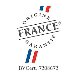 Acheter Invicta poêle à bois Brio