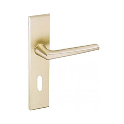 Ensemble de poignées Riv Junior à têtière