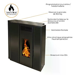 Interstoves Poêle à granules TESSA 10 Etanche -