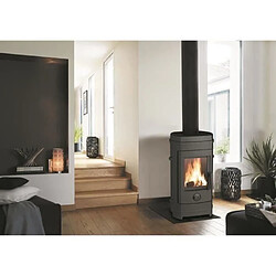 Invicta poêle à bois Remilly 7 kW - Noir