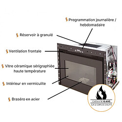 Acheter Interstoves Insert à granules BENITO 10 -