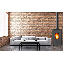 Acheter Poêle à granulés de bois 11.9kw noir - ORPHEE 12 NOIR - SUPRA
