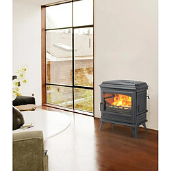 Acheter Poêle à bois fonte 7kw anthracite - 366149 - Revin Top - GODIN