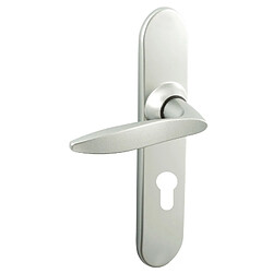 Vachette ensemble de poignées sur plaque