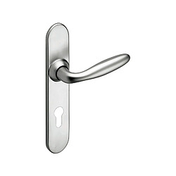 Vachette ensemble de porte Opéra