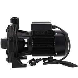 Ribiland Pompe à Eau Biturbine 2000W