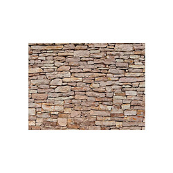 Paris Prix Mur de Pierre Naturelle 231 x 300 cm