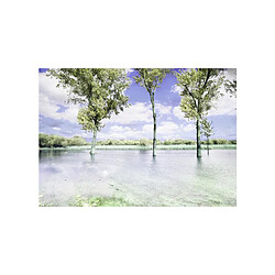 Paris Prix Spring Scenery