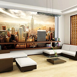 Paris Prix Uncombed By Wind - 105x150 Papier peint mural - Résistant à l'eau et à la saleté - Pigments résistants à la lumière