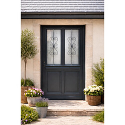GD Porte d'entrée bois vitrée Sobra - Gris anthracite - 215x90 cm