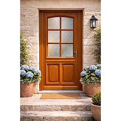 GD MARINE Porte d'entrée 200x80 cm - Bois