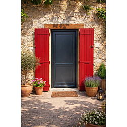 GD Porte d'entrée bois pleine Elina - Droit - 215x90 cm