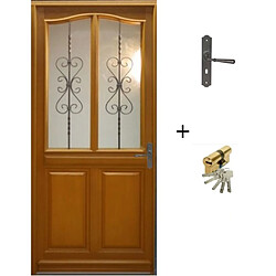 GD Anis Porte d'entrée bois vitrée 215x90 cm